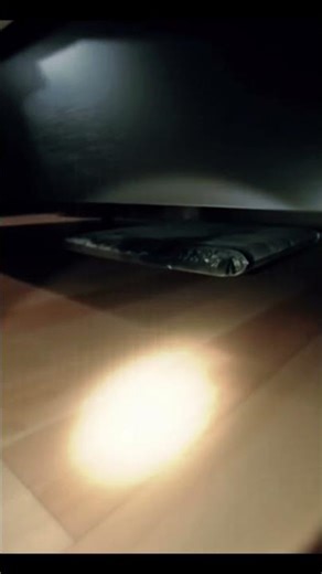 What Did I Just See Under My Bed?