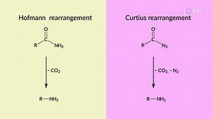 Video: Preparation of 1° Amines: Hofmann and Curtius Rearrangement Mechanism