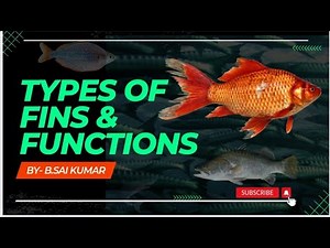 Types of fins and functions of fishes || fish fins || fish biology || fisheries ||