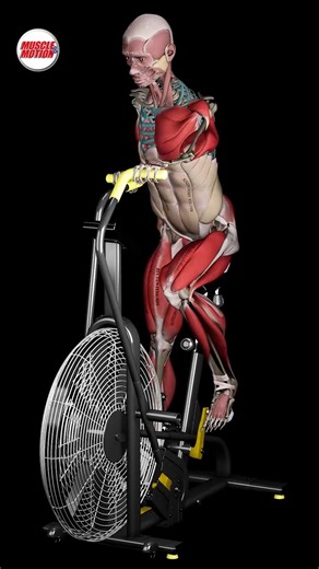 57K views · 690 reactions | Assault Bike ‍♂️ Full-Body Cardio...