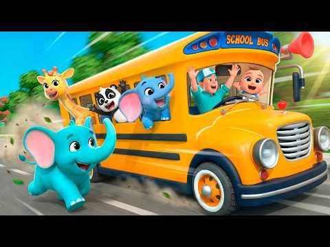 Baby Animals Go Home (Wheels on the Bus ) | Almama Nursery Rhymes