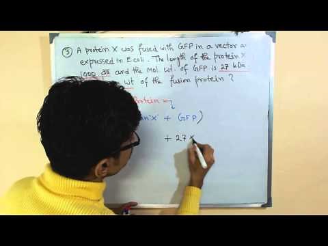 Molecular weight calculation | molecular weight formula
