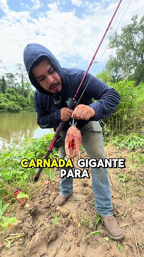 Learn How to Fish for Catan: Essential Tips and Techniques