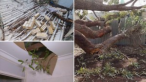 9News - Latest news and headlines from Australia and the world