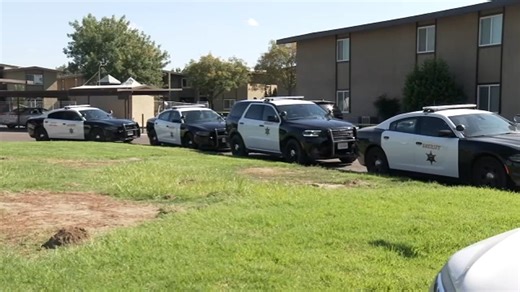 Man shot and killed by Lemoore police officer after attacking officer with knife, chief says
