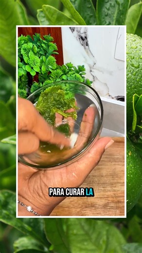 ¡Elimina la Infección de Oído! Este remedio tradicional puede ayudar a calmar molestias alrededor del oído, reducir la irritación y aportar alivio natural. Aplicado suavemente por un adulto, ayuda a relajar la zona y brindar confort mientras el cuerpo se recupera. #receta #natural #oídos #niños #bienestar #nexosano #alivio | Nexo Sano