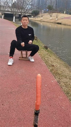 Flying Card Trick, Unbelievable #CARDS #FLYINGCARDS #SPECIALSKILL