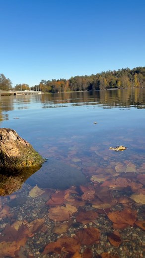 5K views · 163 reactions |  Stockholm: Fall In Love Again.  | Sweden Days | Facebook