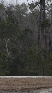 Witness the explosive power of the Bradley Fighting Vehicle #army #soldiers #tanks #artillery #military | Army Times