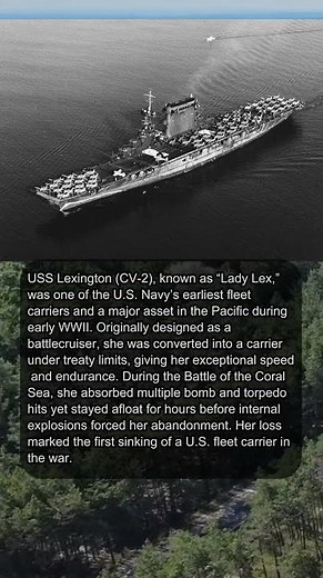 LADY LEX IN ACTION ✈️