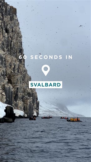 What does 60 seconds in Svalbard look like? From towering cliffs full of bustling bird life and soaring snow-capped peaks, to vast maze-like sea ice patrolled by polar bears above and seals below, Svalbard is a landscape shaped by the power of nature, with iconic Arctic species in abundance in the sky, in the seas, and across its tundral plains. Ready to explore Svalbard for yourself? Book your place aboard today and chart your own polar adventure 👉 https://ow.ly/XFZn50VHL9v 🎥 by Jonny Melon a