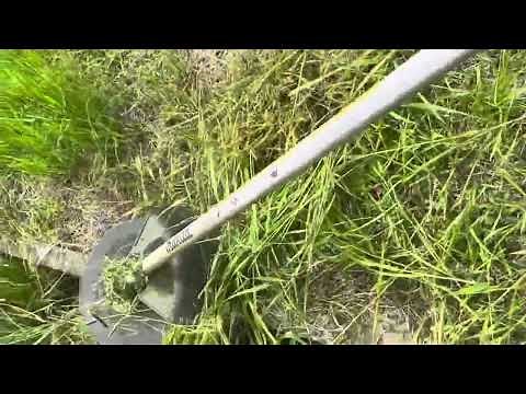 BBBBBBB - LOVE【Official Music Video】