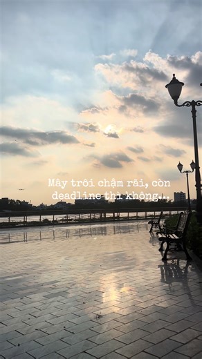 Chớp mắt là lại tới deadline #culiteamdev #mentordev #viral #xuhuong
