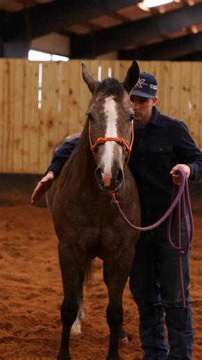 Leonardo Kellermann on Instagram: "‼️ We need your HELP. 😎 We’ve been working on a fun colt—(or in this case filly) —starting project to share—but she needs a barn NAME! She’s by @americasnexttopgun_ and out of a Magnum daughter… Drop a comment below OR in the story box above! We will narrow down our top 3 favorites and put them out for a vote this weekend! #kellermannperformancehorse #leokellermann #nrha #7lakesranch"
