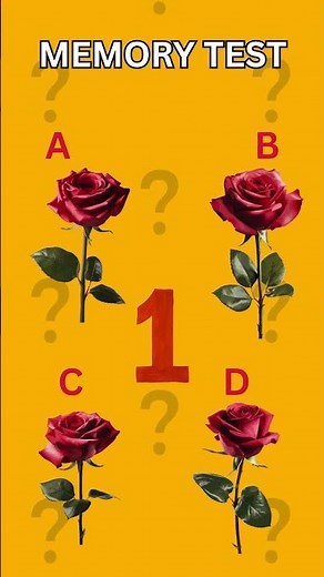 Quick Brain Challenge: Can You Remember What You Saw First?