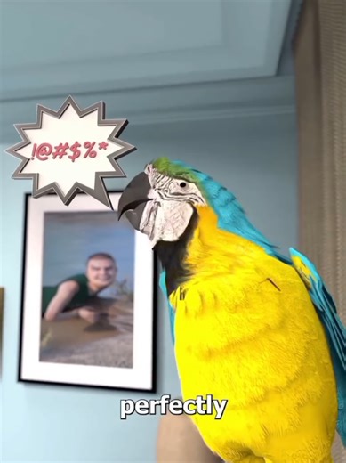 😳🦜 | Parrot Copying Humans 🔊 #foryoupage #trending #3d #animation