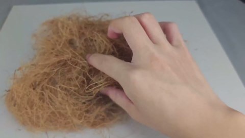 Long Coconut Husk Fiber Mulch Silk for Orchids Clean Coconut Shell Moss Covering 0.66 Pounds