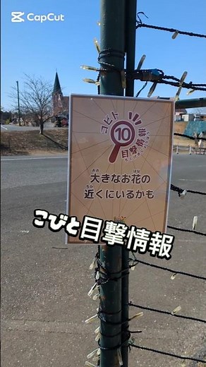 [Kobitozukan] There's a little dwarf near a big flower at Tokyo German Village! ⭐ Great dwarf dis...
