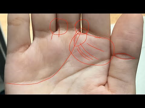 Find Direction in Life by Reading Your Palm Lines – Step by Step