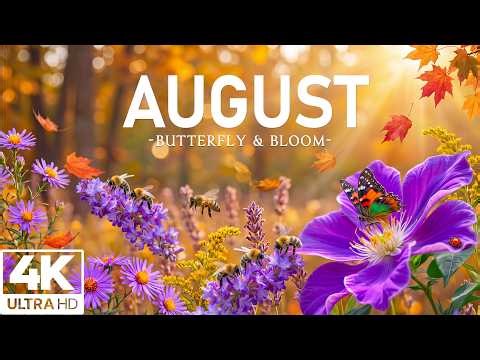 Beautiful Autumn in August 8K 🦋 Dancing Butterflies,Endless Flower Meadows & Peaceful Relaxing Music