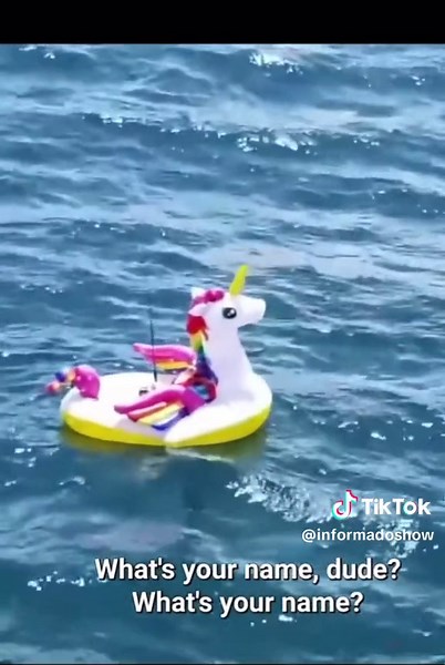 Catching a Shark While Towed by an Inflatable Unicorn