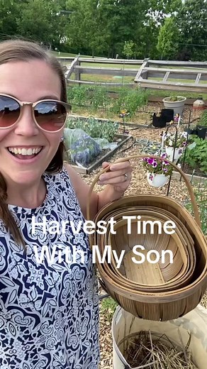 My 4-year old son has been begging me to do a full harvest with him. He was by my side the entire time and my heart is full. We built this garden to feed our family and because it had been my dream for so long. I had no idea how much my kids would enjoy being out there with me. What a wonderful side benefit ❤️ #harvesttime #potatoharvest #strawberries