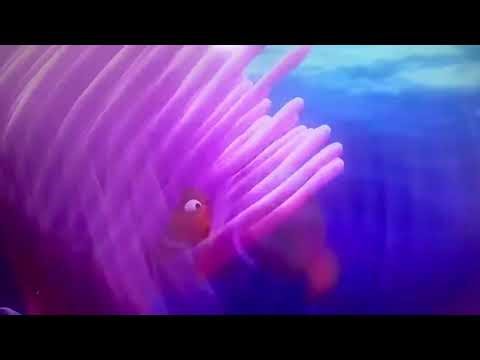 Findng Nemo in 1 Minute