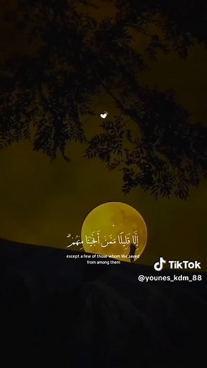 استمع إلى القرآن بصوت اسلام صبحي