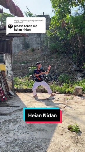 Replying to @youforgottopaymev2 Heian Nidan #learnontiktok #jombelajar #tiktokguru #karate