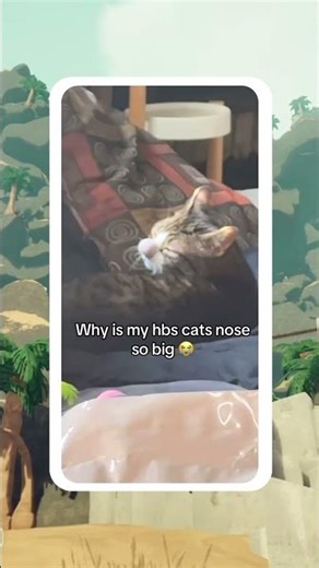 Humor dump [ Vol. 30 ]