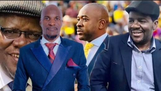 52K views · 1.2K reactions | This message goes to Citizens Coalition For Change (CCC) Leader Advocate Nelson Chamisa | Chibanda Media | Facebook