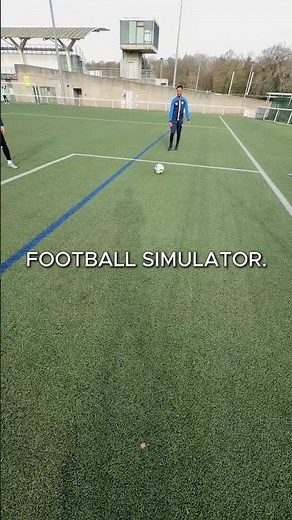 Football simulator. Goalkeeper