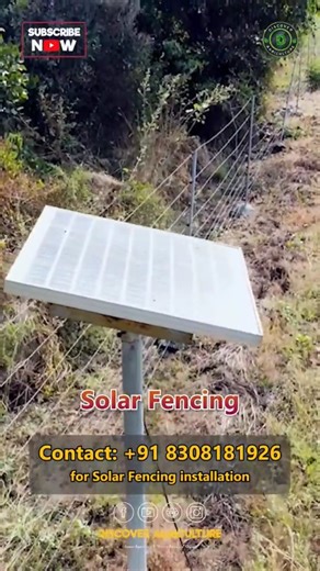 Discover Agriculture on Instagram: "Introducing an innovative solution for efficient land management: the solar fencing system. This environmentally friendly technology utilizes renewable solar energy to power electric fences, making it a sustainable option for protecting crops, livestock, and property. By harnessing sunlight, these systems provide a reliable barrier without the need for conventional electricity sources. Ideal for remote locations, solar fencing reduces operating costs and ensur