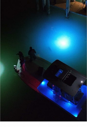 Shrimping Adventure with Underwater Lights