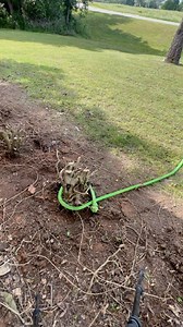 Part 3/5 Removing the stumps was probably the easiest thing to do with this kinetic recovery rope! It has so many uses! #dslawnandlandscape #landscapebedtransformation #landscapelovers #landscapebedrenovation #houserenovation #houserenovations #houseplants #desertbed #newlandscapeinstallation #removingstumps #howtoremovestumpseasy #stumpwork #nostumpgrindingneeded | D’s Lawn & Landscape