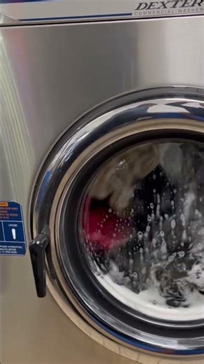 Dexter T400 squeaky wash action