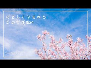 [Morning BGM] A Gentle Spring Hymn to Be Enveloped In | Soothing Music to Calm the Mind