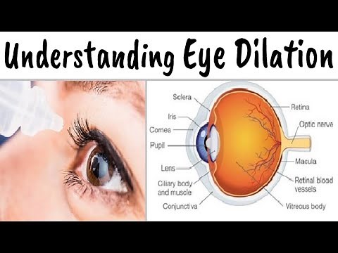 Why It's Important to Have a Dilated Eye Exam
