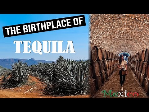 Visiting the Home of Tequila in Mexico! | TEQUILA Town and Distillery Tour + GUACHIMONTONES Guide