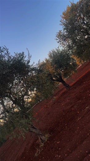 #rojava #efrin #explore #jendrese