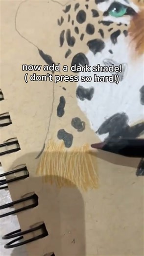 how to color realistic fur!