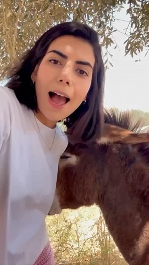 #john_beer_israel #saveniroz #בירהאלכסנדר # | Johnbeer Israel