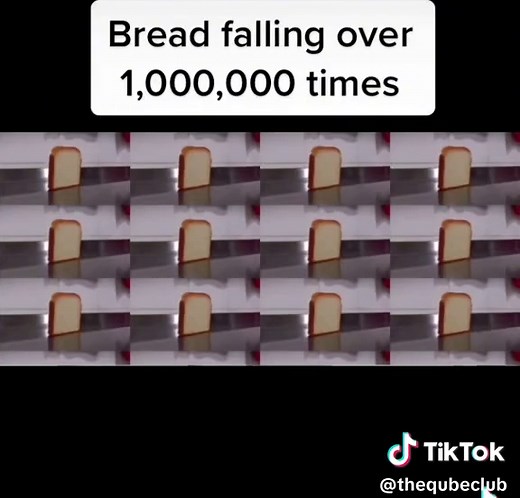 The Funniest Bread Falling Over Moments