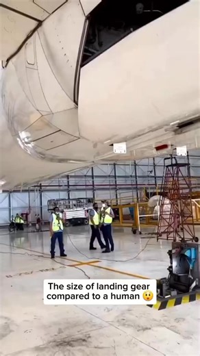 5.6K views · 33 reactions | The size of the landing gears B787 dreamliner #airplane #flight #travel | King TV | Facebook