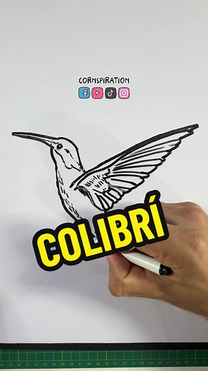 Cómo dibujar un Colibrí #dibujo #arte #tutorial #drawing #art