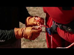 OX Poletop Rescue