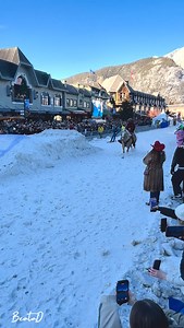Snow Days Skijoring Banff Canada 🇨🇦 #canada #alberta #banff #skijoring #canadá #snowday #horses #winter | BeataTravels Canada
