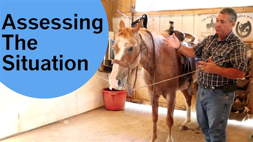 6.3K views · 256 reactions | Rocky has some issues that you have seen in his videos. In this video I am talking about how to sort through a situation to find the root of the problem. | Tim Anderson Horse Training | Facebook