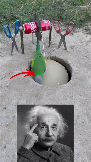 You Won’t Believe This Clever Parrot Trap 😳🦜”