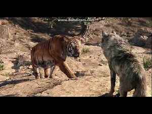 The Jungle Book Akela's Death
